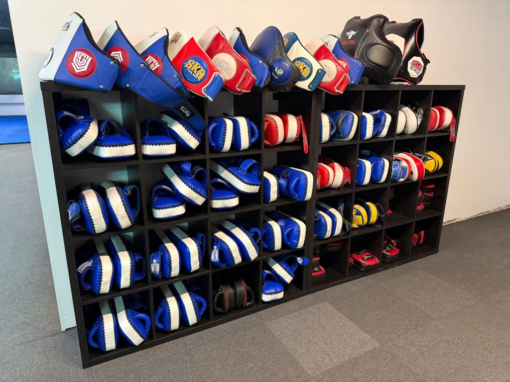 Muay Thai pads